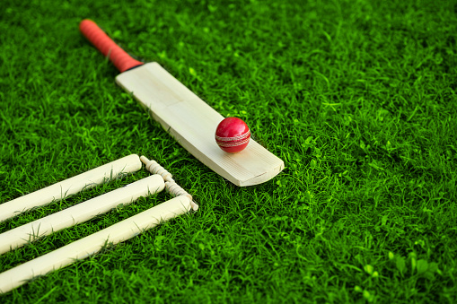 Analyzing IPL’s Influence on Cricketing Groundskeeping Standards Compliance