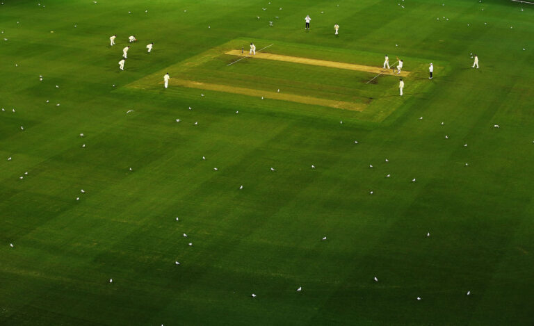 Betting on Cricket: The Impact of Pitch Conditions